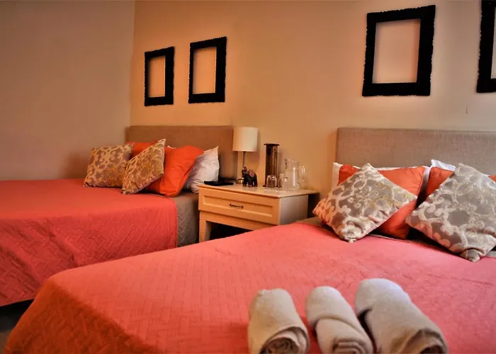 Kangaroo Wasi Airport Bed & Breakfast